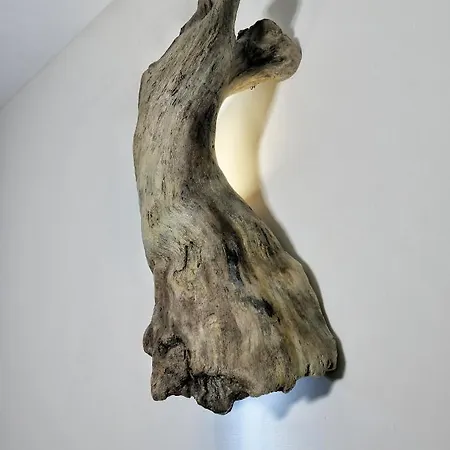 Tramezzo Designer's House Apartment *