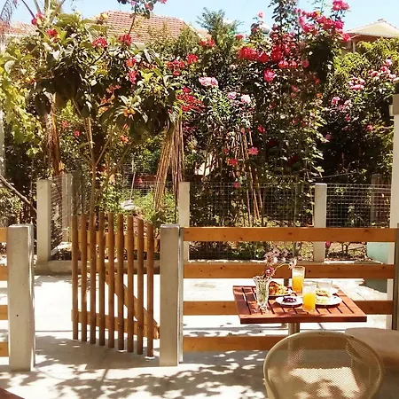 Tramezzo Designer's House